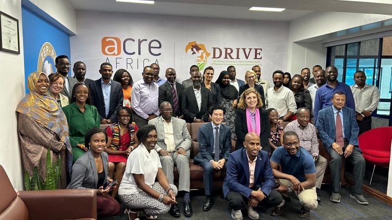 Pastoral Economy Management - DRIVE team